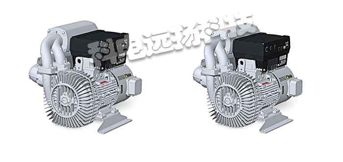 RIETSCHLE鼓风机,德国鼓风机,德国RIETSCHLE鼓风机,G系列,RIETSCHLE鼓风机工作原理,德国RIETSCHLE