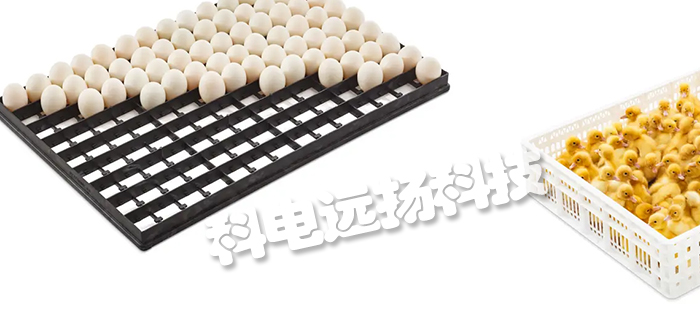 比利时PETERSIME孵化器/手推车/入孵机托盘